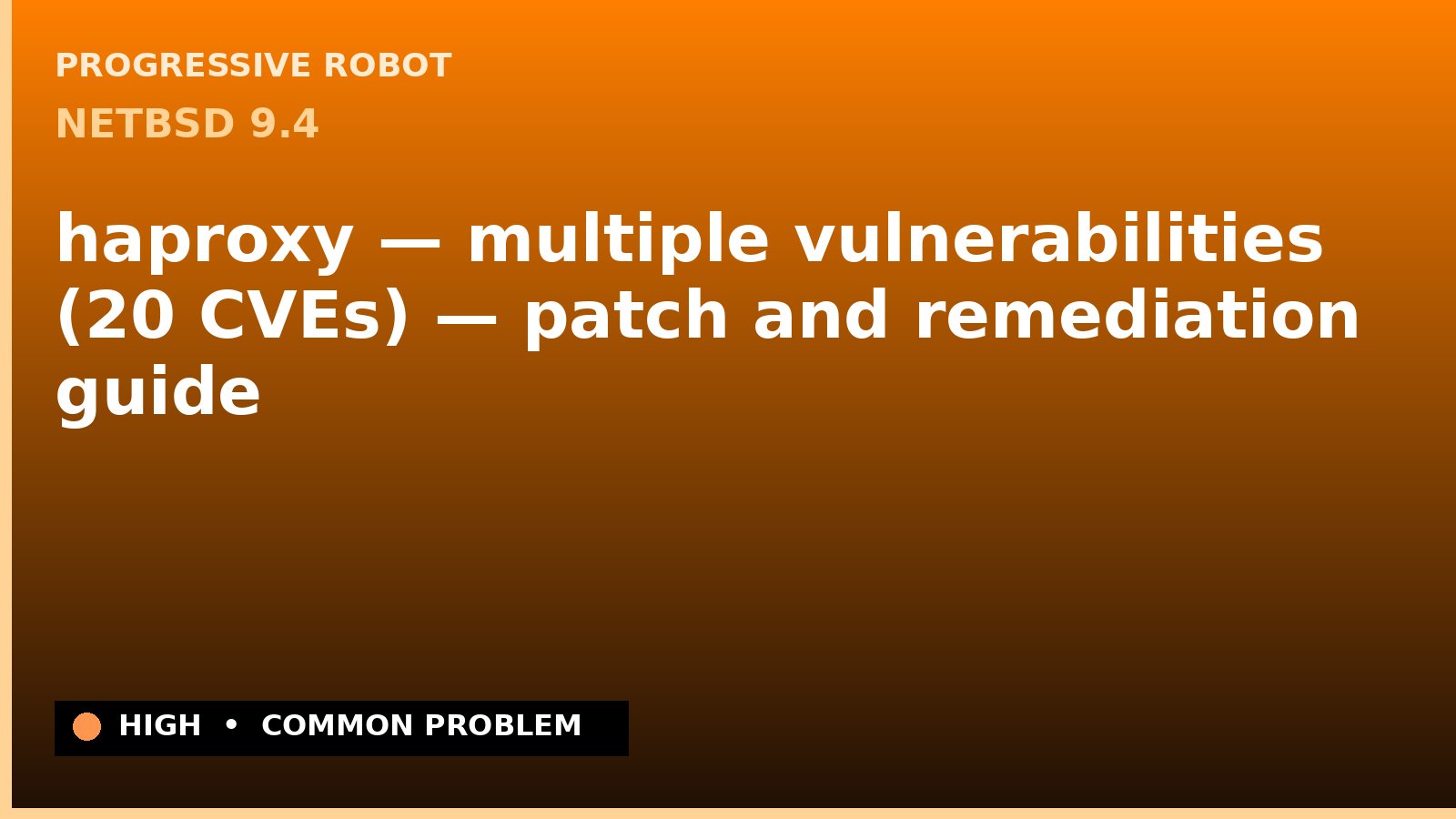NetBSD 9.4 — haproxy — multiple vulnerabilities (20 CVEs) — patch and remediation guide — diagnosis and fix on NetBSD 9.4
