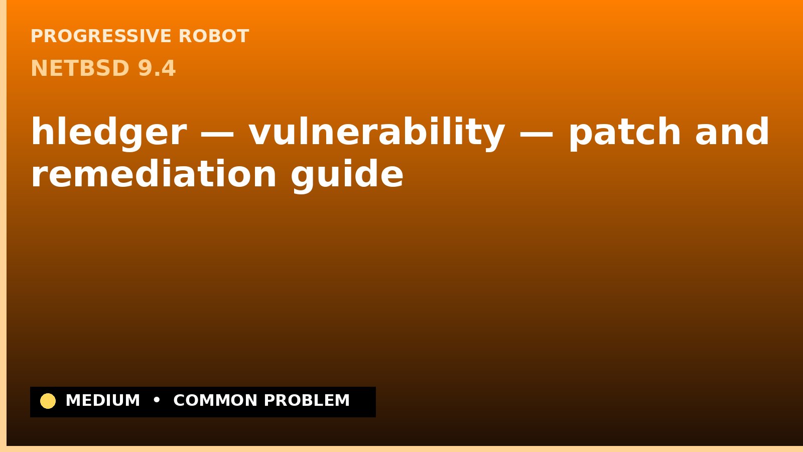 NetBSD 9.4 — hledger — vulnerability — patch and remediation guide — diagnosis and fix on NetBSD 9.4