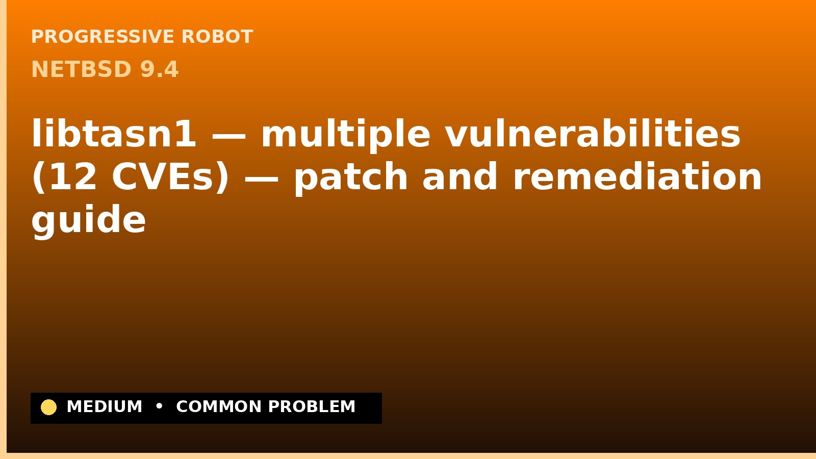 NetBSD 9.4 — libtasn1 — multiple vulnerabilities (12 CVEs) — patch and remediation guide — diagnosis and fix on NetBSD 9.4