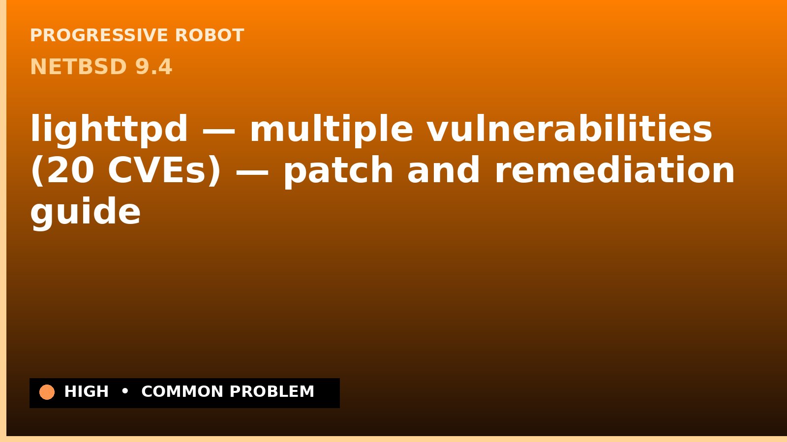 NetBSD 9.4 — lighttpd — multiple vulnerabilities (20 CVEs) — patch and remediation guide — diagnosis and fix on NetBSD 9.4