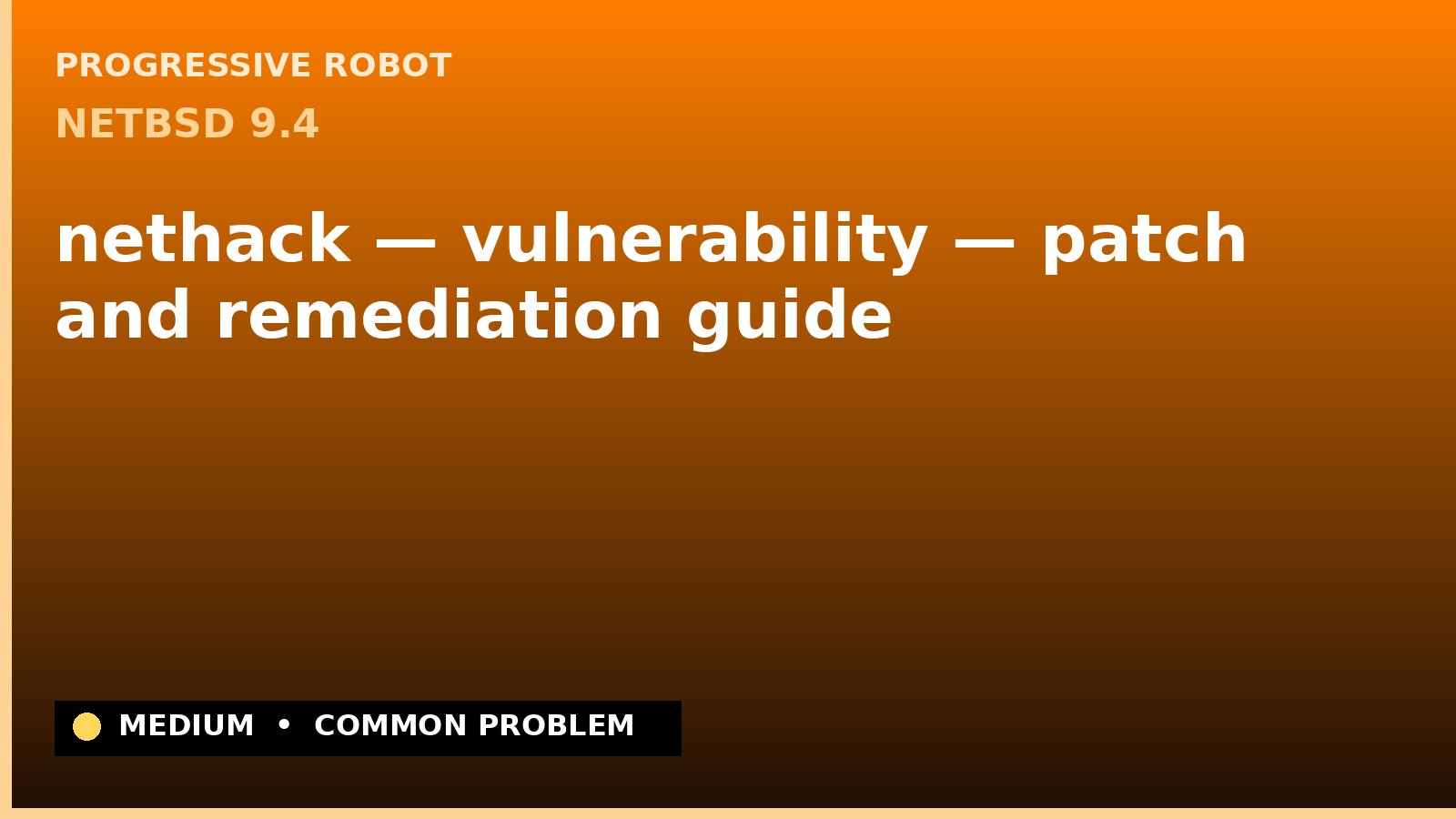 NetBSD 9.4 — nethack — vulnerability — patch and remediation guide — diagnosis and fix on NetBSD 9.4