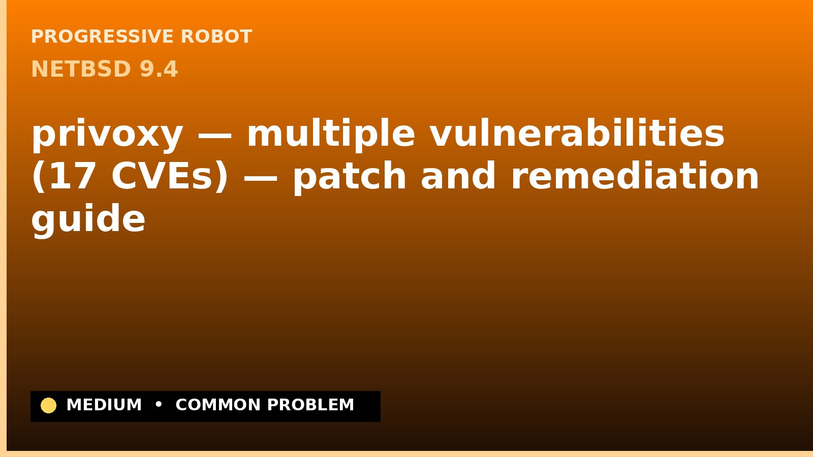 NetBSD 9.4 — privoxy — multiple vulnerabilities (17 CVEs) — patch and remediation guide — diagnosis and fix on NetBSD 9.4