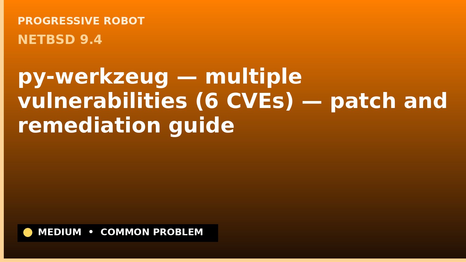 NetBSD 9.4 — py-werkzeug — multiple vulnerabilities (6 CVEs) — patch and remediation guide — diagnosis and fix on NetBSD 9.4