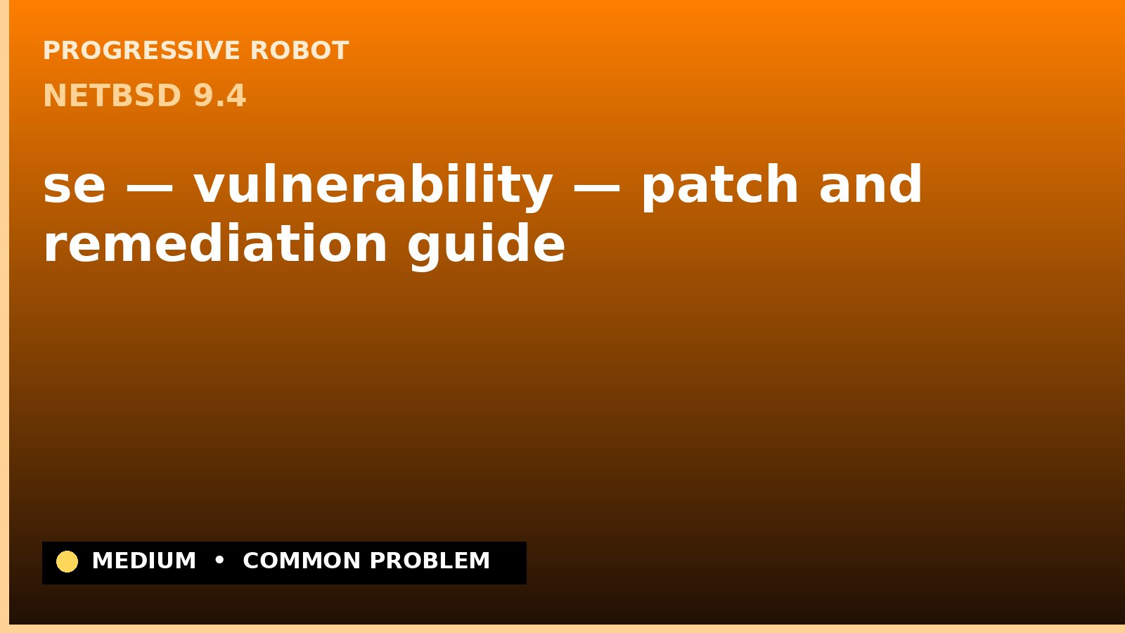 NetBSD 9.4 — se — vulnerability — patch and remediation guide — diagnosis and fix on NetBSD 9.4