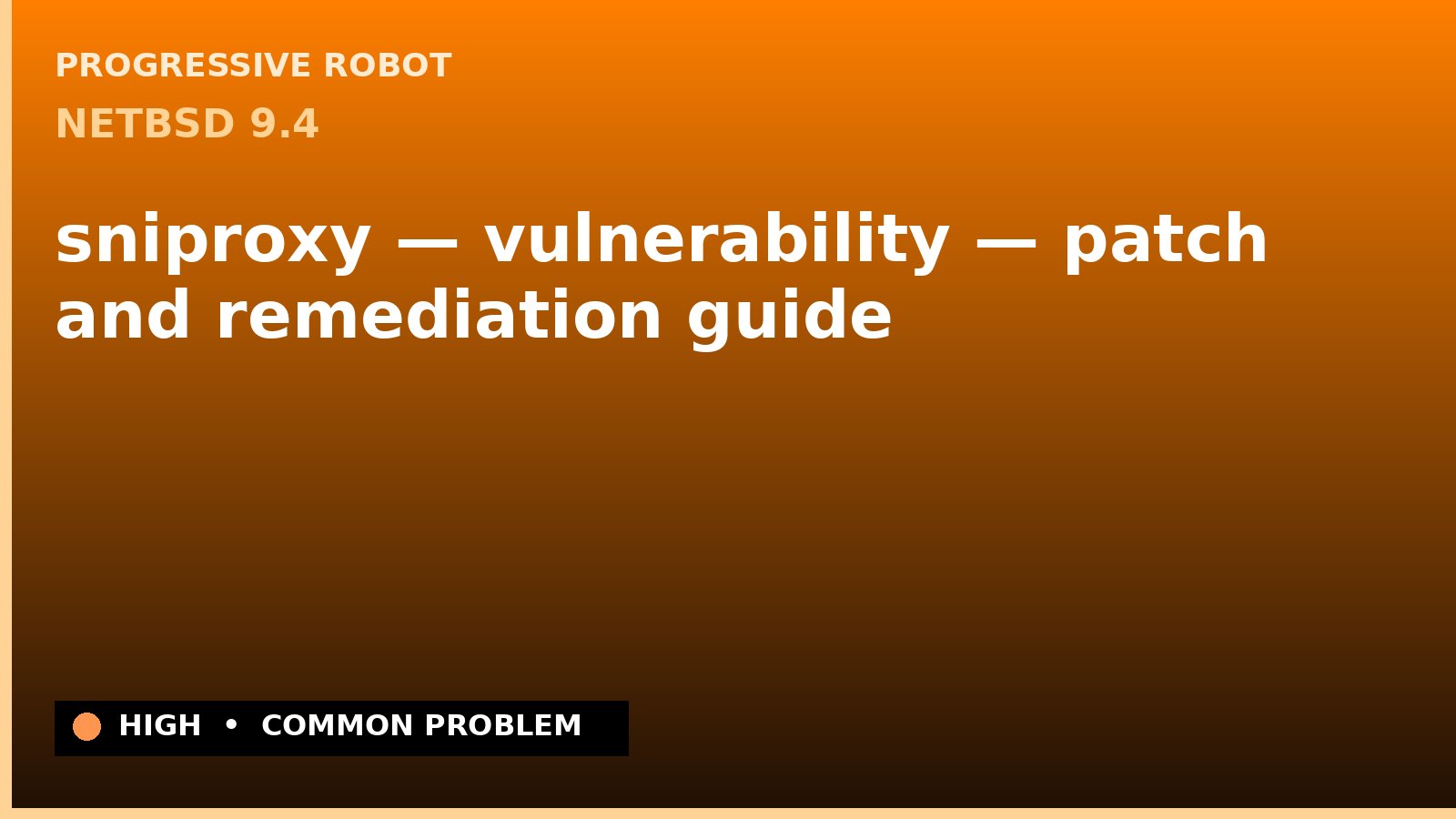 NetBSD 9.4 — sniproxy — vulnerability — patch and remediation guide — diagnosis and fix on NetBSD 9.4