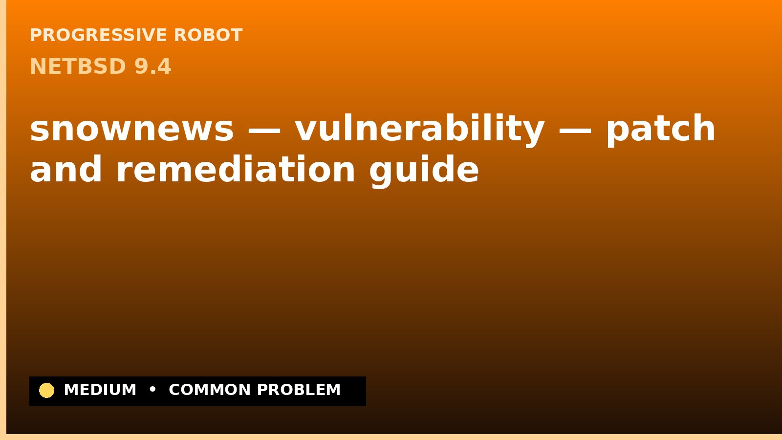 NetBSD 9.4 — snownews — vulnerability — patch and remediation guide — diagnosis and fix on NetBSD 9.4