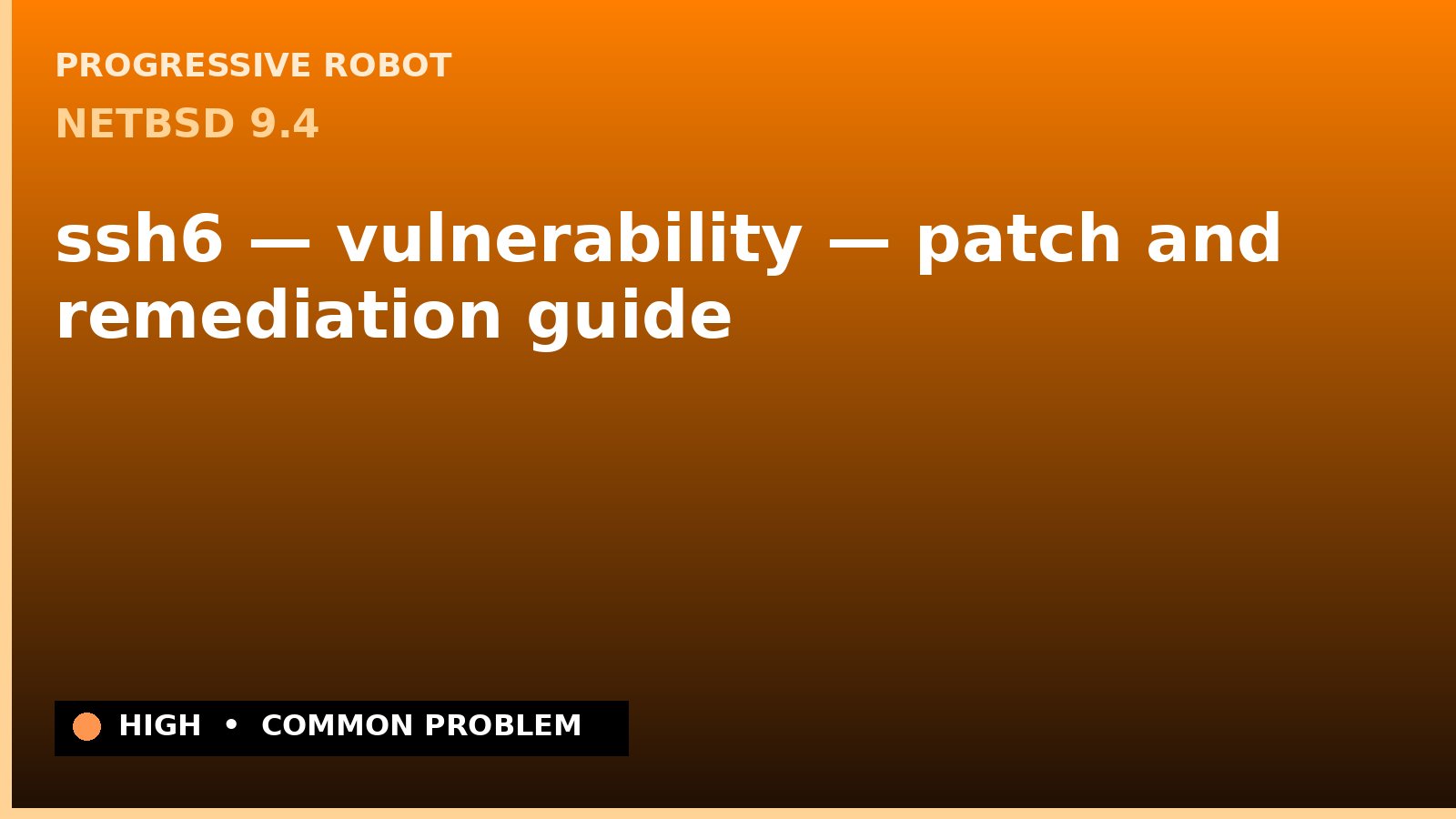 NetBSD 9.4 — ssh6 — vulnerability — patch and remediation guide — diagnosis and fix on NetBSD 9.4