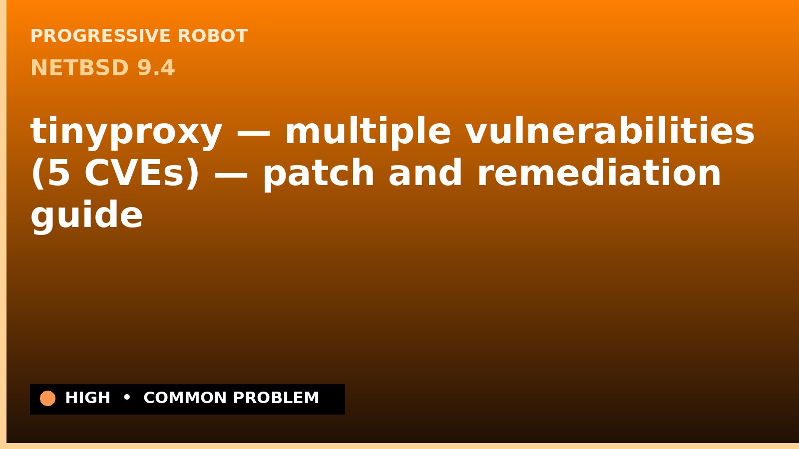 NetBSD 9.4 — tinyproxy — multiple vulnerabilities (5 CVEs) — patch and remediation guide — diagnosis and fix on NetBSD 9.4