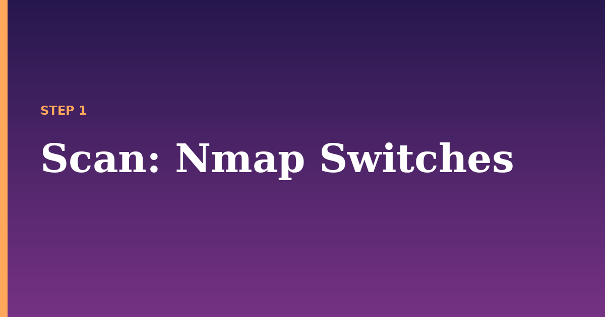 scan illustration for: Nmap Switches