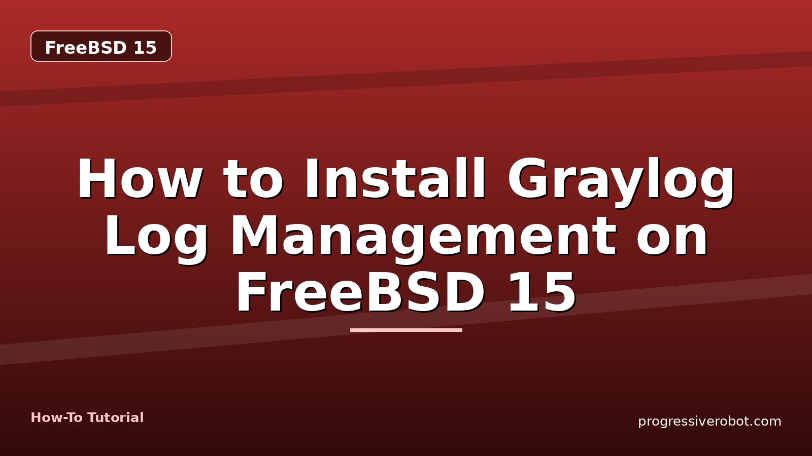 How to Install Graylog Log Management on FreeBSD 15 — step-by-step FreeBSD 15 tutorial on Progressive Robot