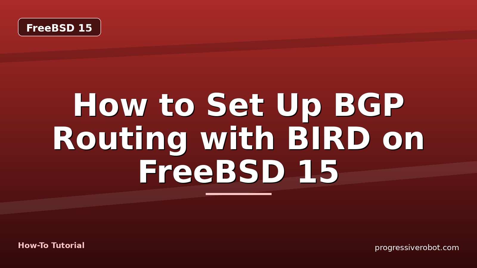 How to Set Up BGP Routing with BIRD on FreeBSD 15 — step-by-step FreeBSD 15 tutorial on Progressive Robot