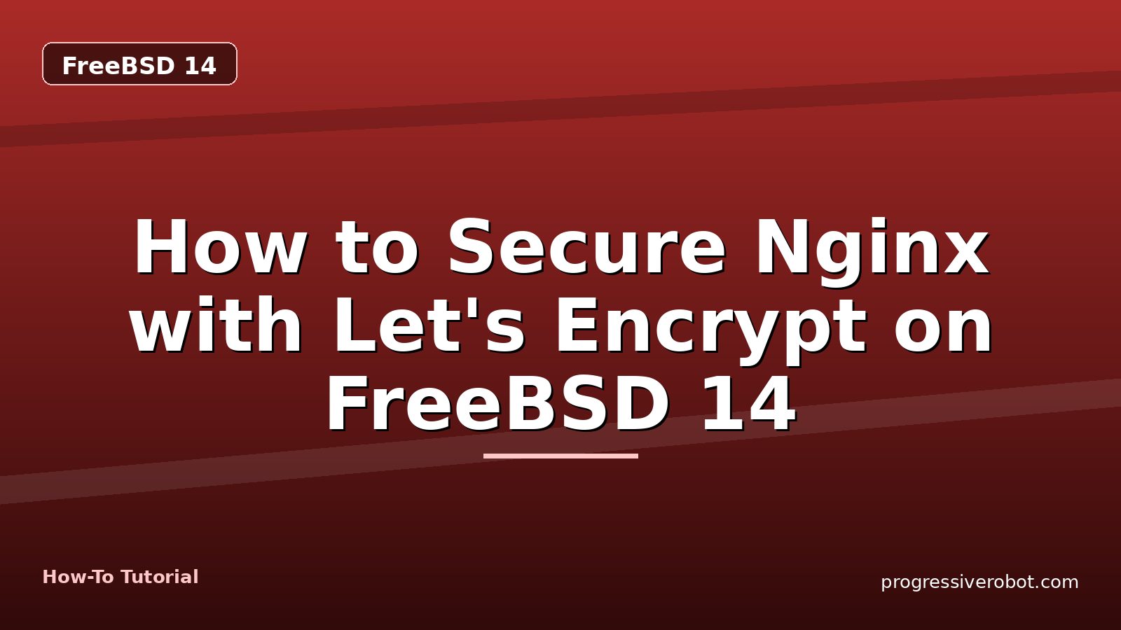 How to Secure Nginx with Let's Encrypt on FreeBSD 14 — step-by-step FreeBSD 14 tutorial on Progressive Robot