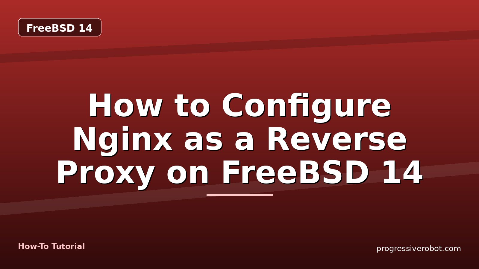 How to Configure Nginx as a Reverse Proxy on FreeBSD 14 — step-by-step FreeBSD 14 tutorial on Progressive Robot