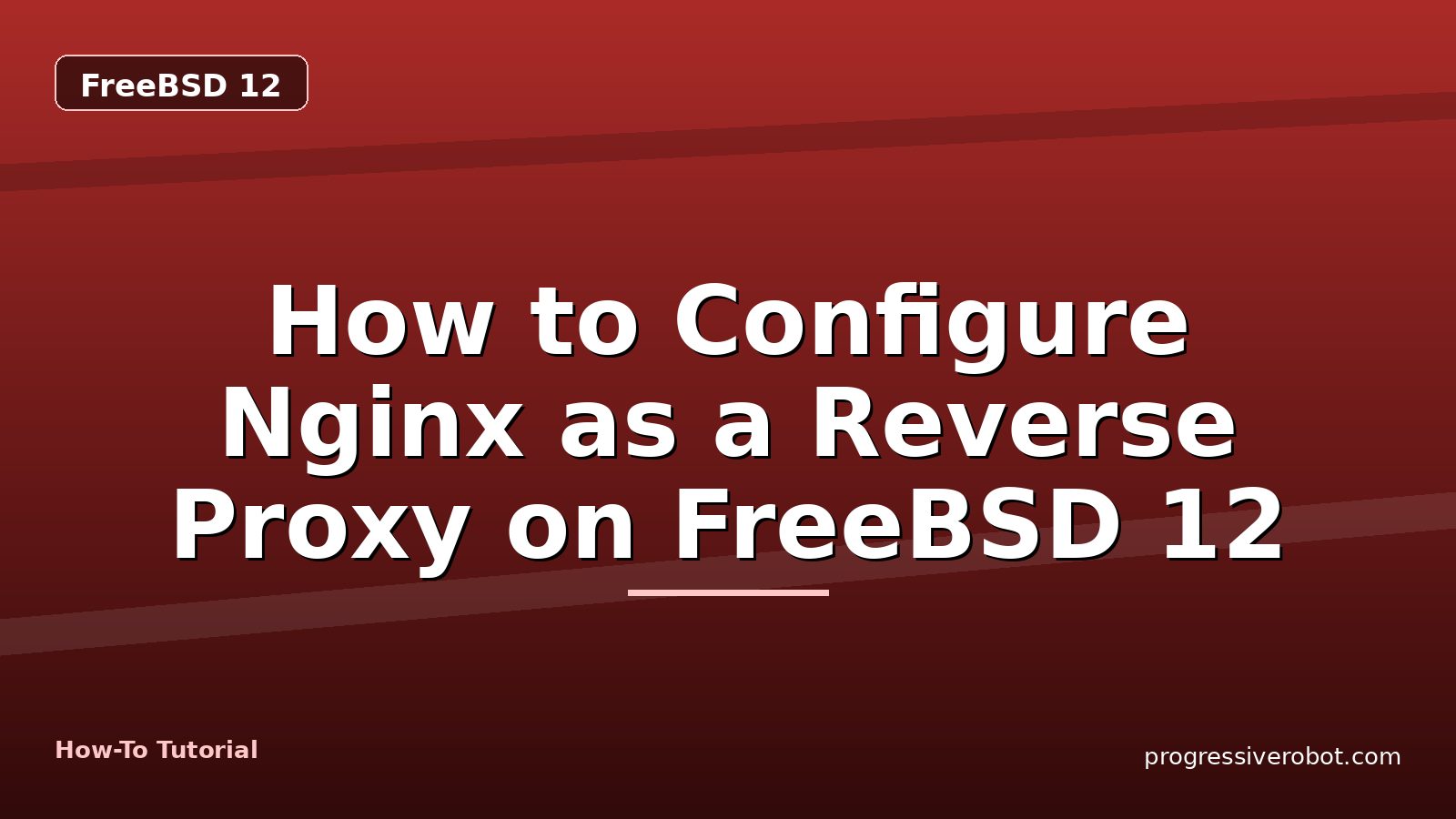 How to Configure Nginx as a Reverse Proxy on FreeBSD 12 — step-by-step FreeBSD 12 tutorial on Progressive Robot