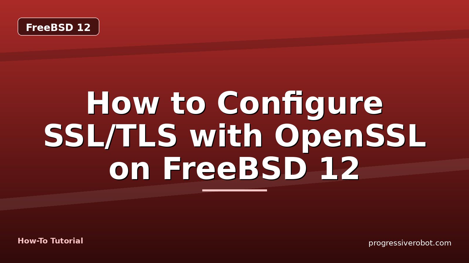 How to Configure SSL/TLS with OpenSSL on FreeBSD 12 — step-by-step FreeBSD 12 tutorial on Progressive Robot
