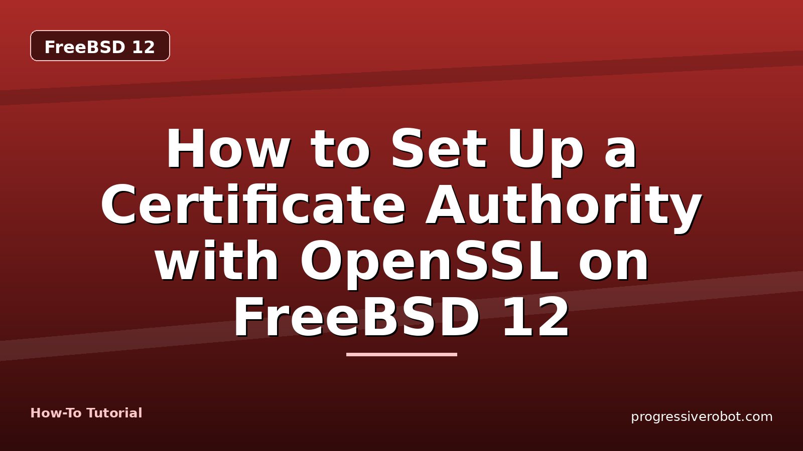 How to Set Up a Certificate Authority with OpenSSL on FreeBSD 12 — step-by-step FreeBSD 12 tutorial on Progressive Robot