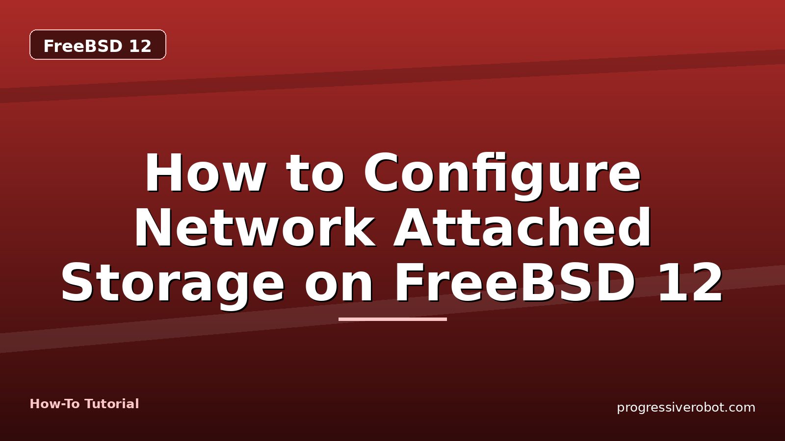 How to Configure Network Attached Storage on FreeBSD 12 — step-by-step FreeBSD 12 tutorial on Progressive Robot