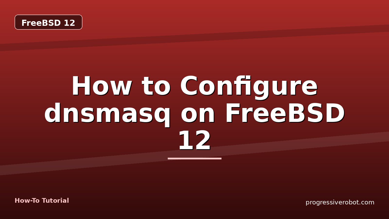 How to Configure dnsmasq on FreeBSD 12 — step-by-step FreeBSD 12 tutorial on Progressive Robot