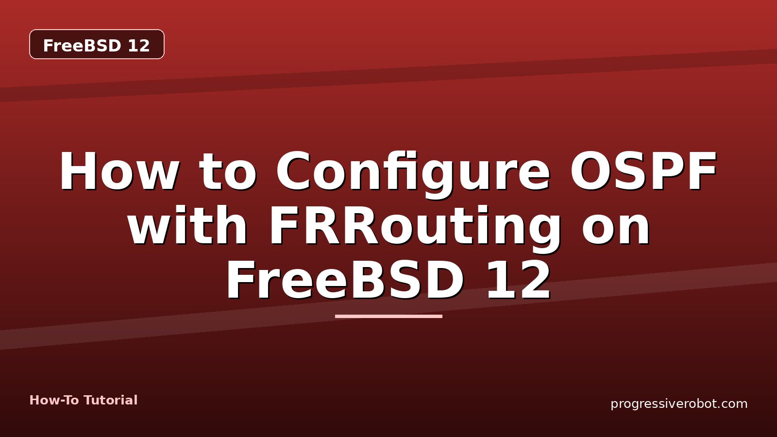 How to Configure OSPF with FRRouting on FreeBSD 12 — step-by-step FreeBSD 12 tutorial on Progressive Robot