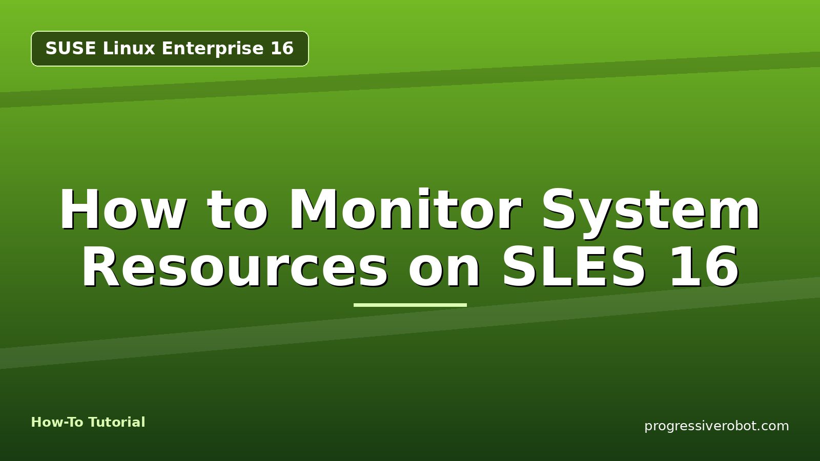 How to Monitor System Resources on SLES 16 — step-by-step SUSE Linux Enterprise 16 tutorial on Progressive Robot