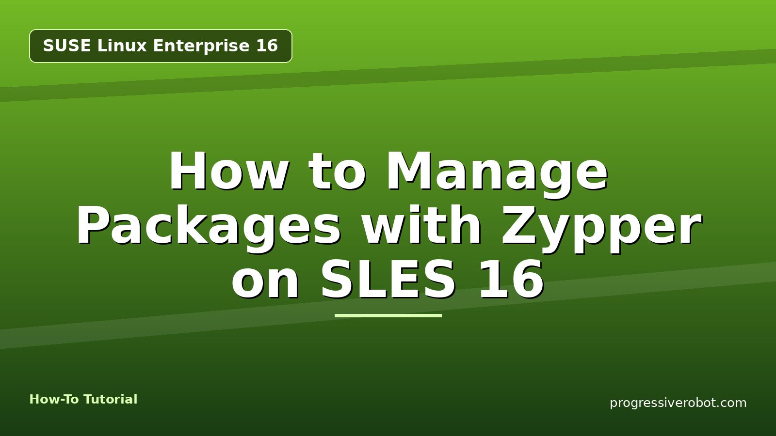 How to Manage Packages with Zypper on SLES 16 — step-by-step SUSE Linux Enterprise 16 tutorial on Progressive Robot