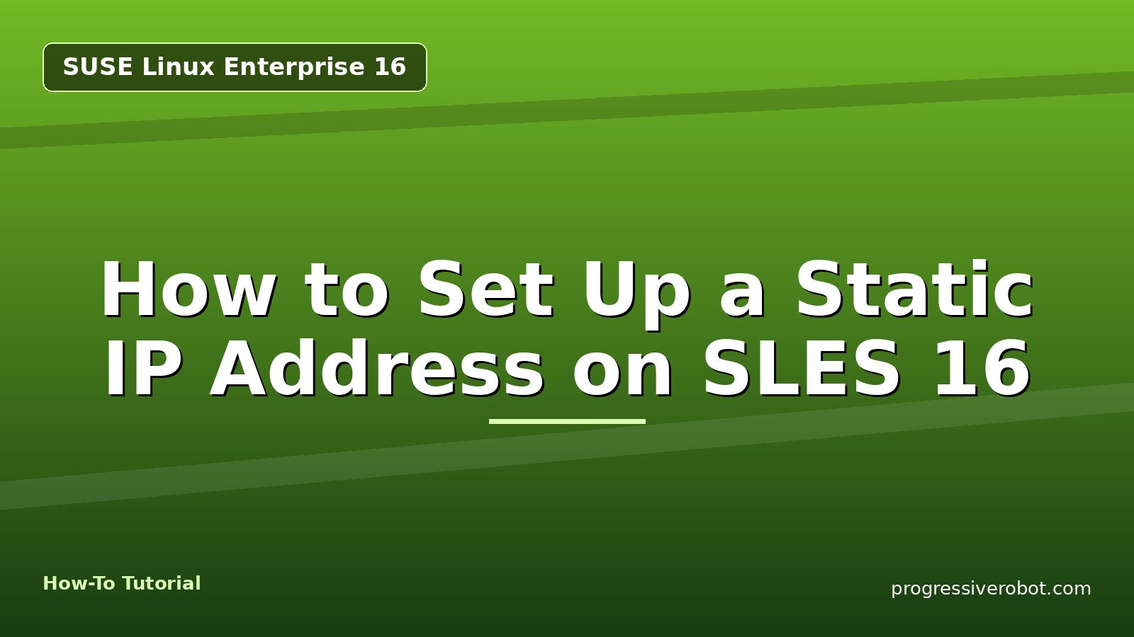 How to Set Up a Static IP Address on SLES 16 — step-by-step SUSE Linux Enterprise 16 tutorial on Progressive Robot