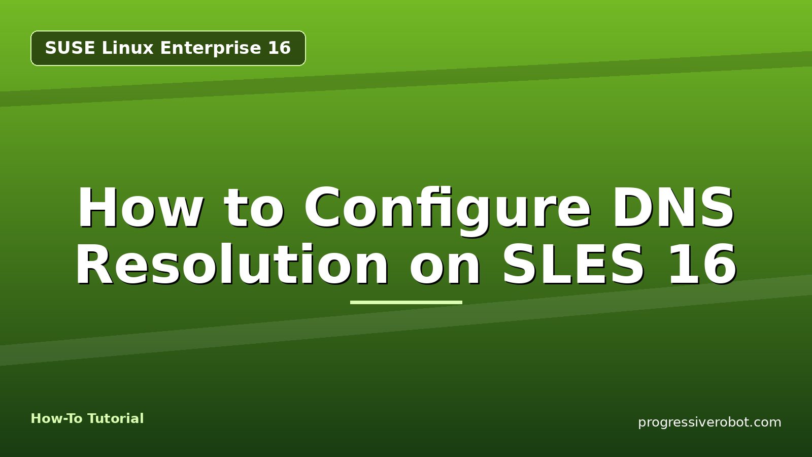 How to Configure DNS Resolution on SLES 16 — step-by-step SUSE Linux Enterprise 16 tutorial on Progressive Robot