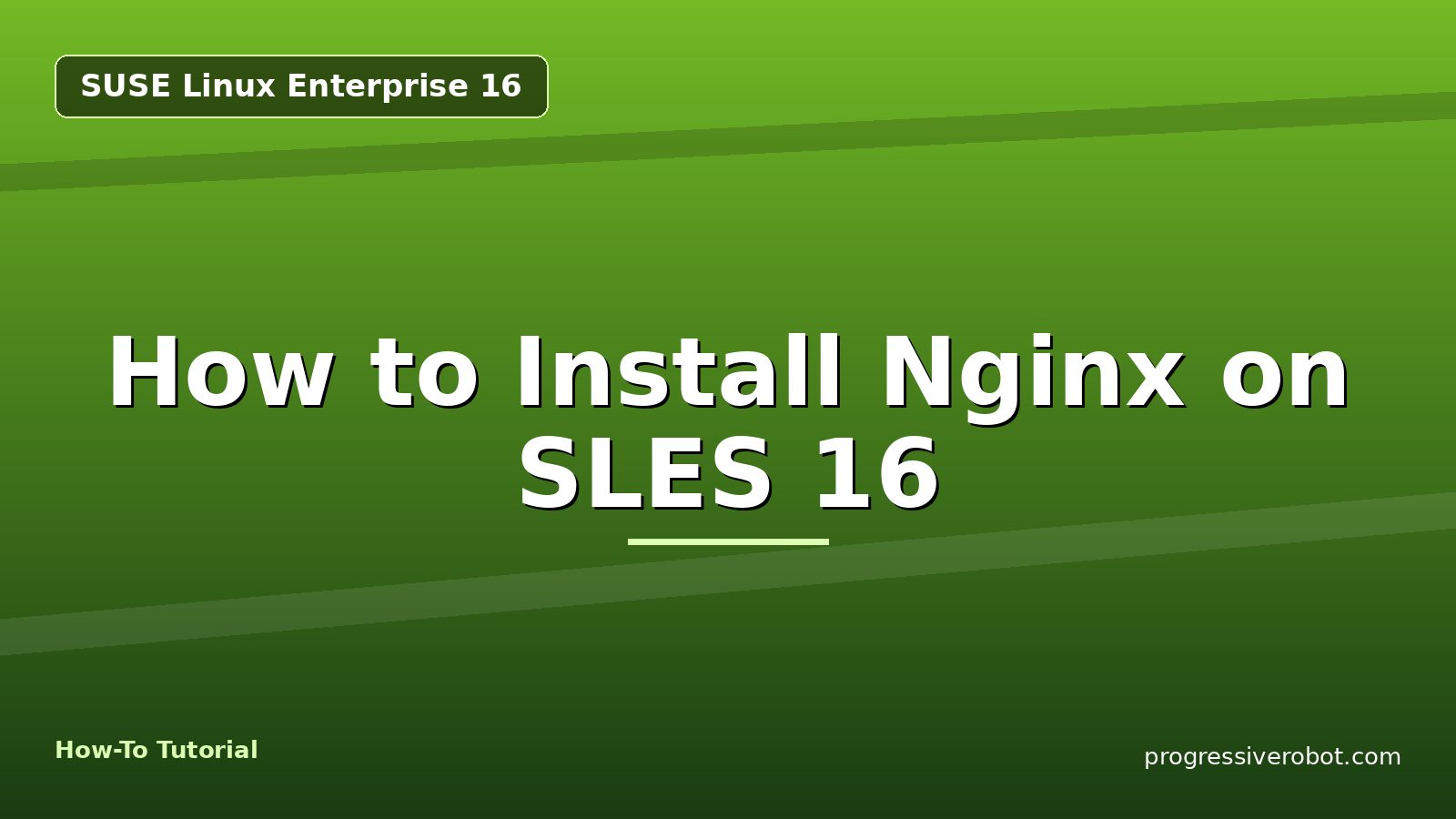 How to Install Nginx on SLES 16 — step-by-step SUSE Linux Enterprise 16 tutorial on Progressive Robot