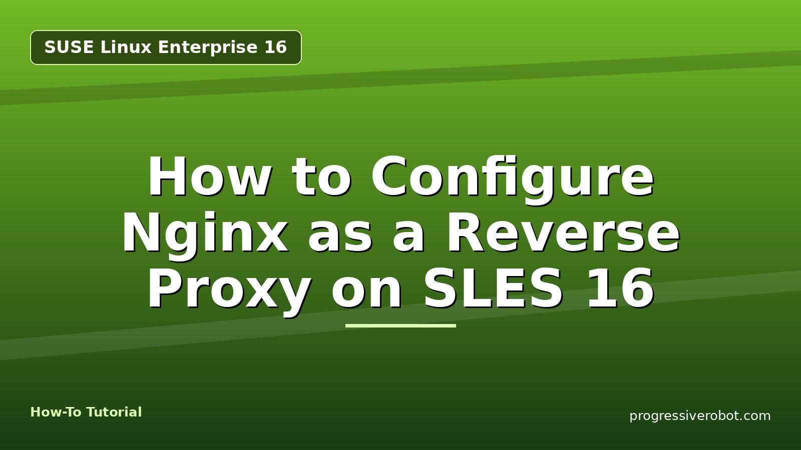 How to Configure Nginx as a Reverse Proxy on SLES 16