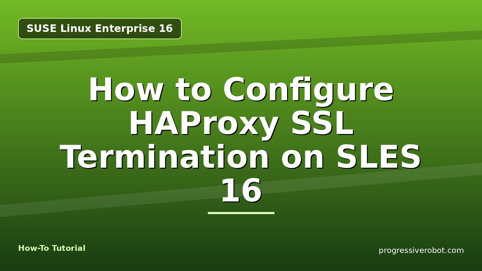 How to Configure HAProxy SSL Termination on SLES 16