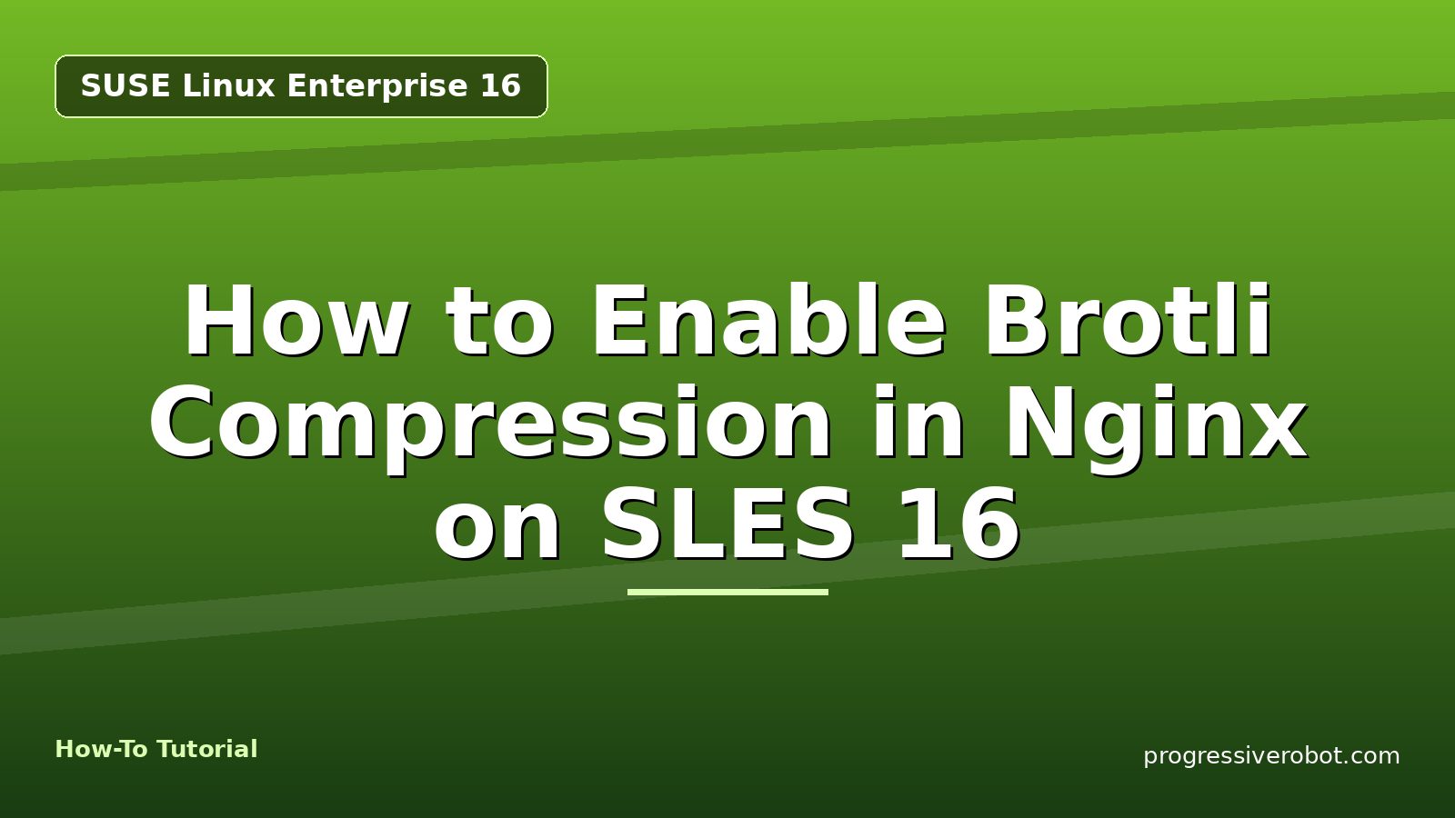 How to Enable Brotli Compression in Nginx on SLES 16 — step-by-step SUSE Linux Enterprise 16 tutorial on Progressive Robot