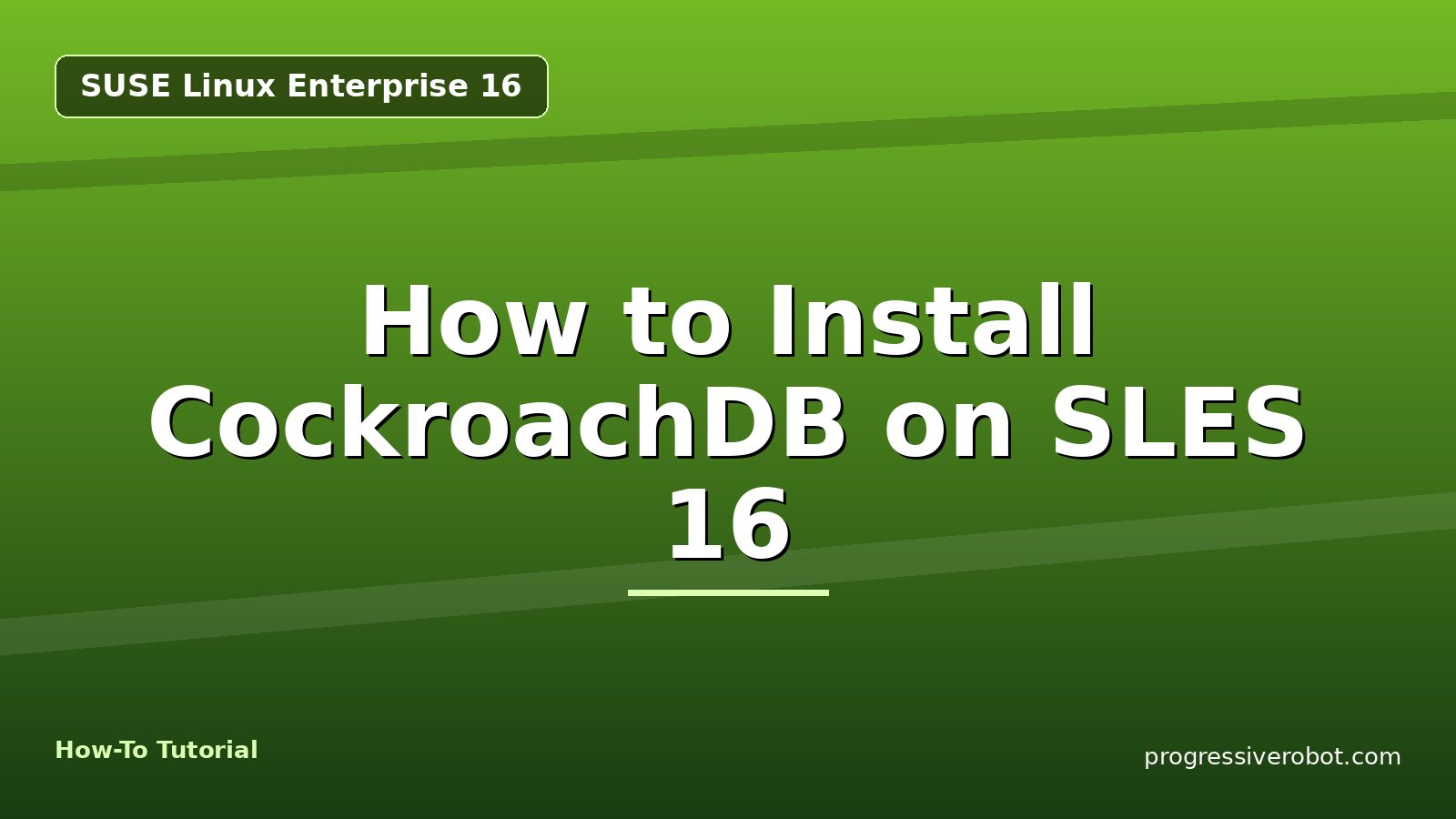 How to Install CockroachDB on SLES 16 — step-by-step SUSE Linux Enterprise 16 tutorial on Progressive Robot