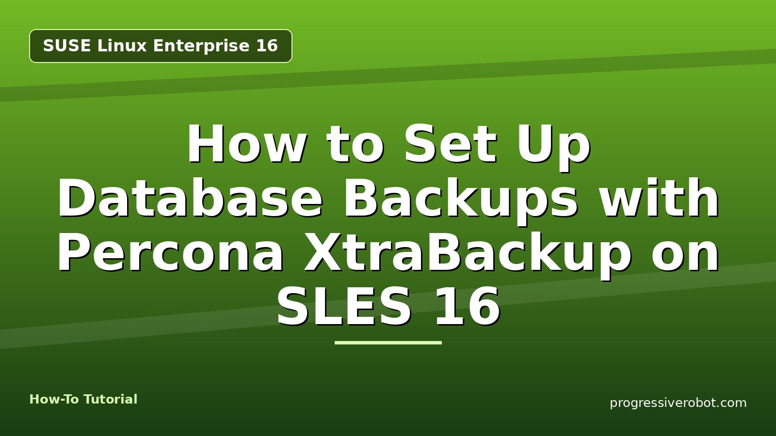 How to Set Up Database Backups with Percona XtraBackup on SLES 16 — step-by-step SUSE Linux Enterprise 16 tutorial on Progressive Robot