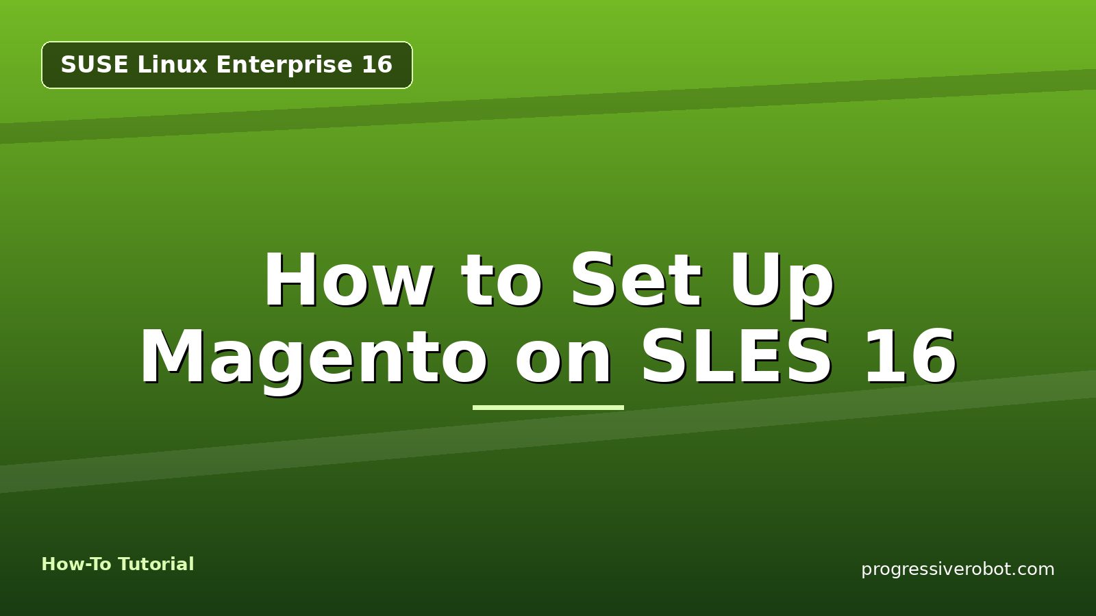 How to Set Up Magento on SLES 16 — step-by-step SUSE Linux Enterprise 16 tutorial on Progressive Robot