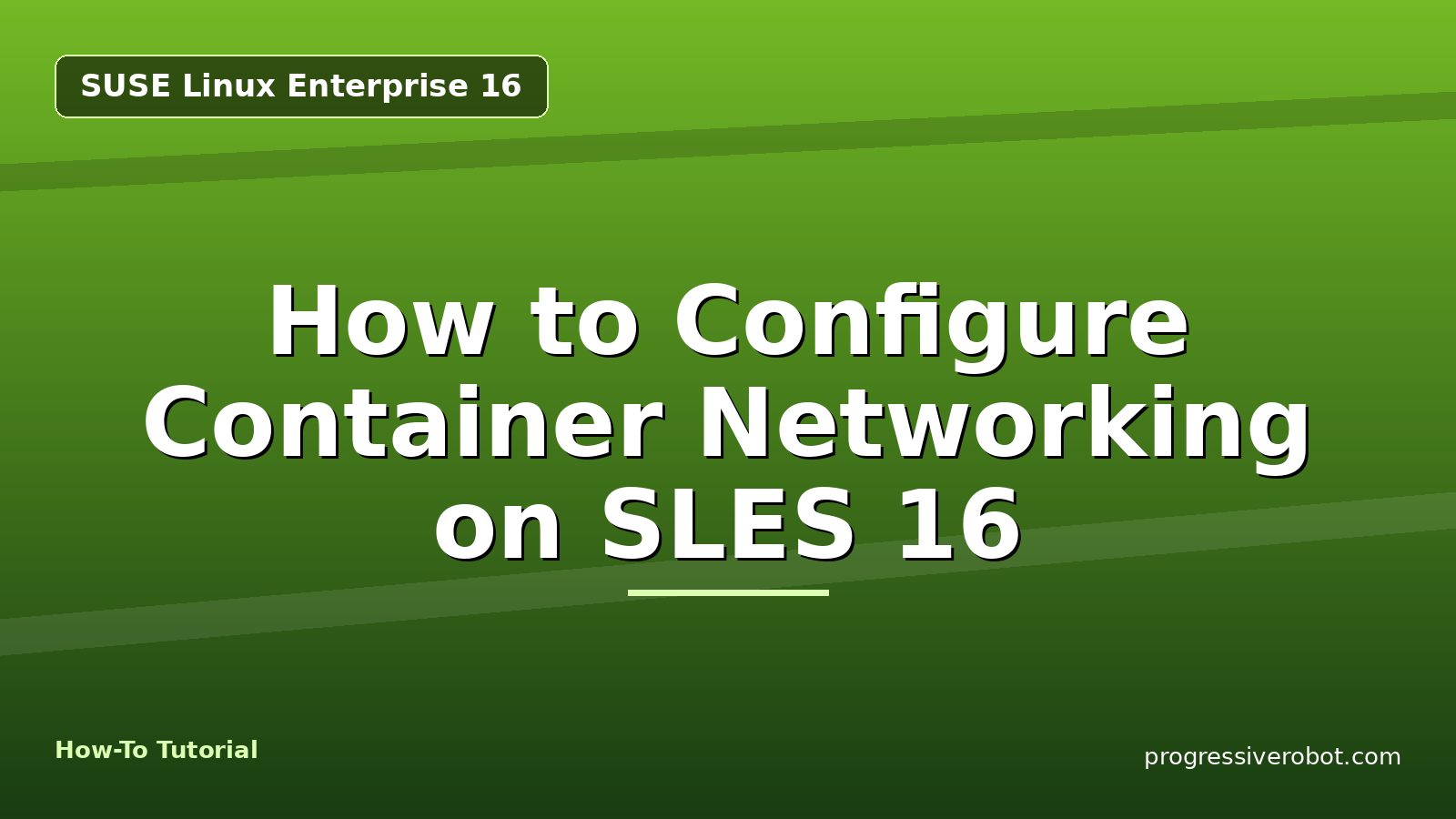 How to Configure Container Networking on SLES 16 — step-by-step SUSE Linux Enterprise 16 tutorial on Progressive Robot