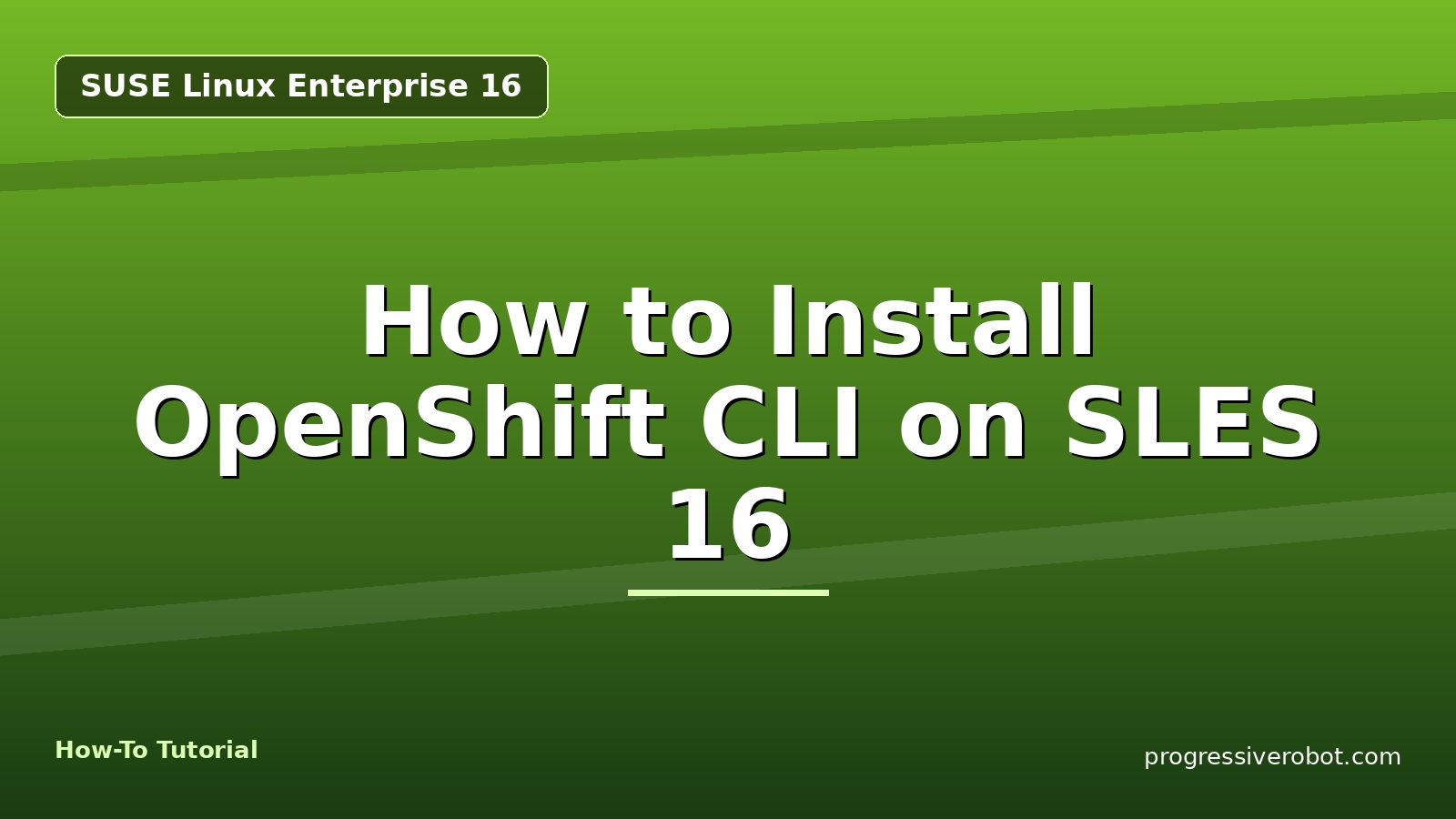 How to Install OpenShift CLI on SLES 16 — step-by-step SUSE Linux Enterprise 16 tutorial on Progressive Robot