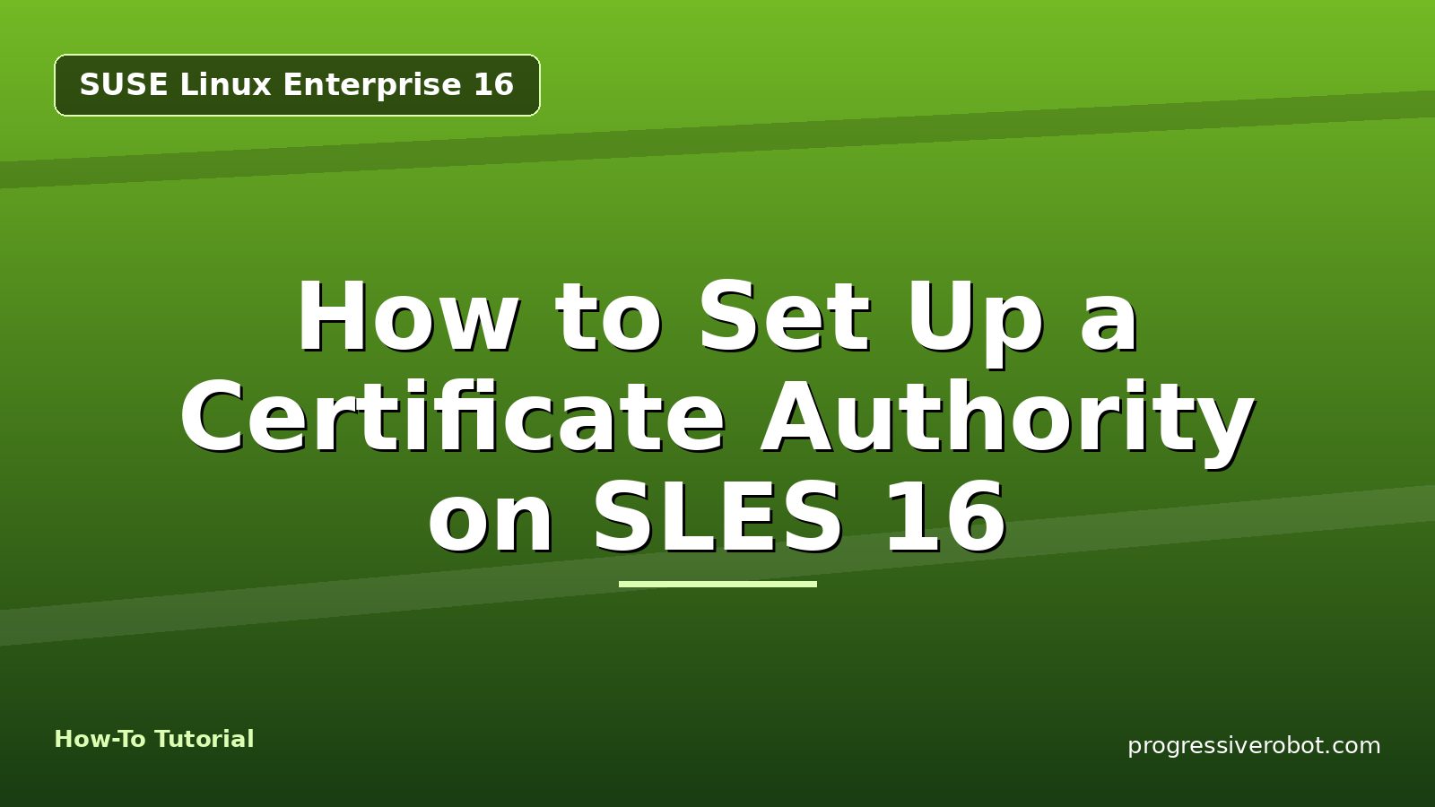How to Set Up a Certificate Authority on SLES 16 — step-by-step SUSE Linux Enterprise 16 tutorial on Progressive Robot