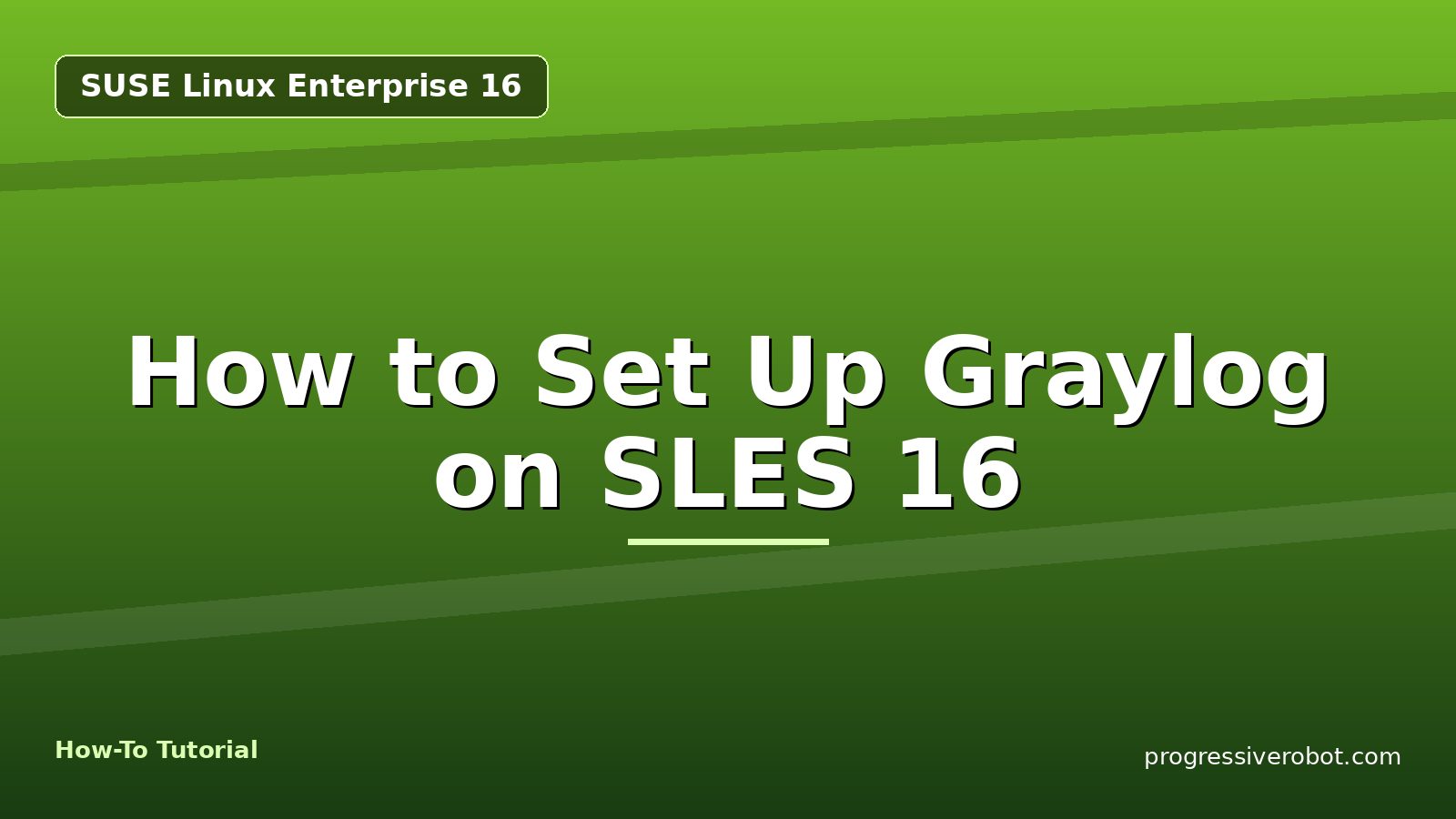 How to Set Up Graylog on SLES 16 — step-by-step SUSE Linux Enterprise 16 tutorial on Progressive Robot