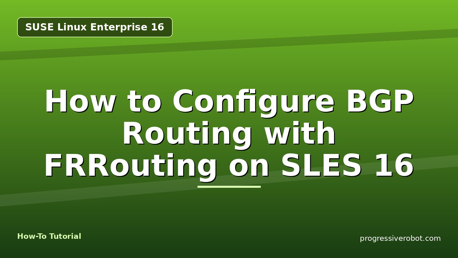 How to Configure BGP Routing with FRRouting on SLES 16 — step-by-step SUSE Linux Enterprise 16 tutorial on Progressive Robot