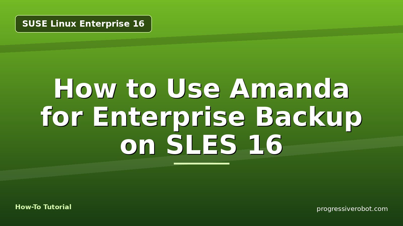 How to Use Amanda for Enterprise Backup on SLES 16 — step-by-step SUSE Linux Enterprise 16 tutorial on Progressive Robot