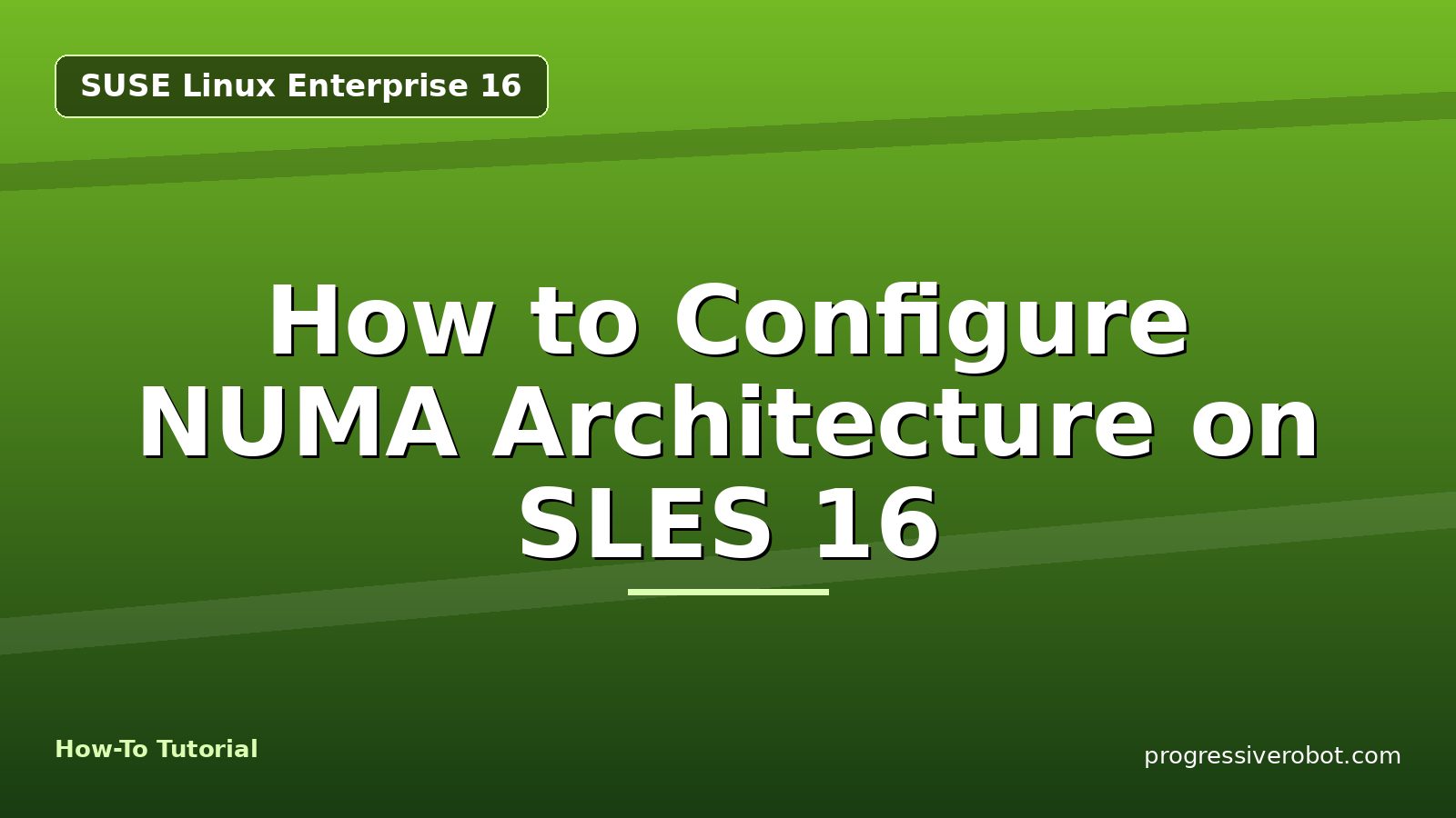 How to Configure NUMA Architecture on SLES 16 — step-by-step SUSE Linux Enterprise 16 tutorial on Progressive Robot
