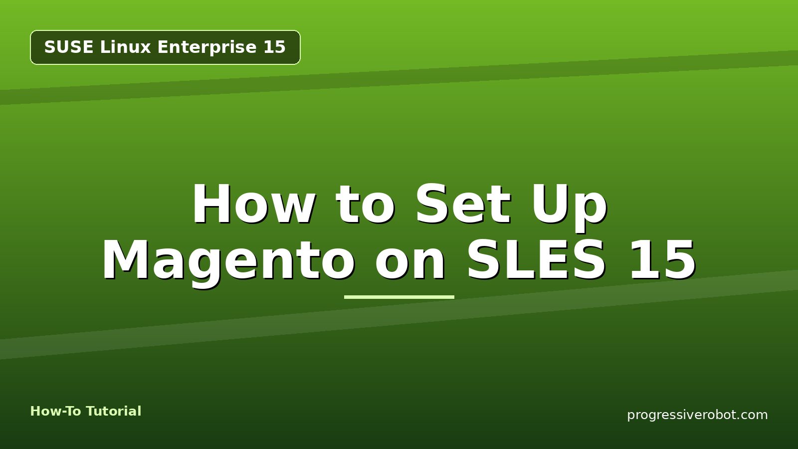 How to Set Up Magento on SLES 15 — step-by-step SUSE Linux Enterprise 15 tutorial on Progressive Robot