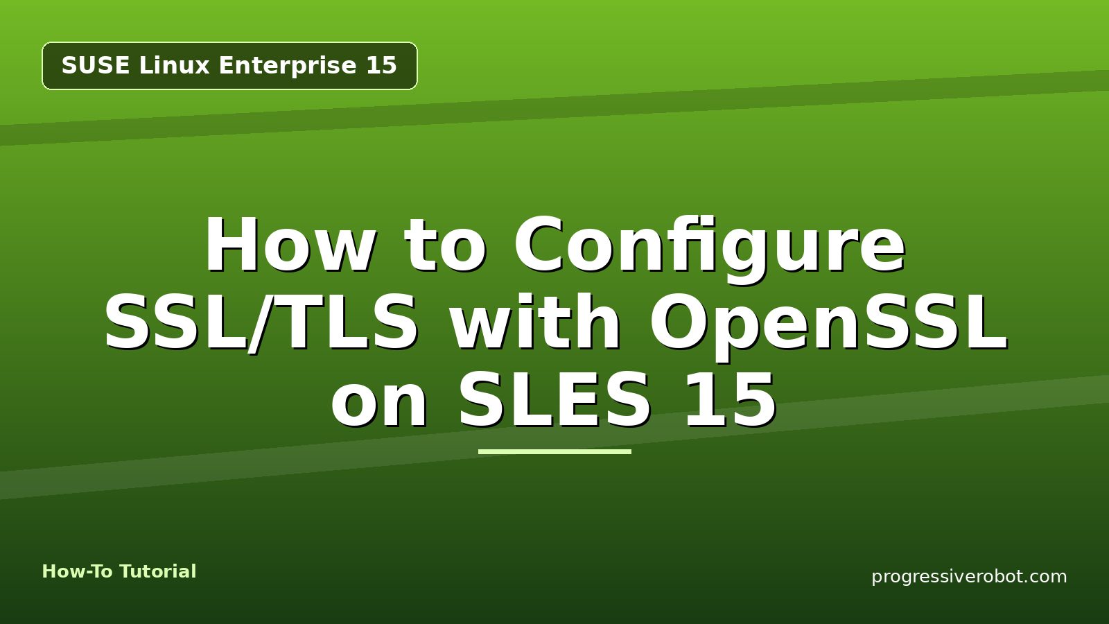 How to Configure SSL/TLS with OpenSSL on SLES 15 — step-by-step SUSE Linux Enterprise 15 tutorial on Progressive Robot