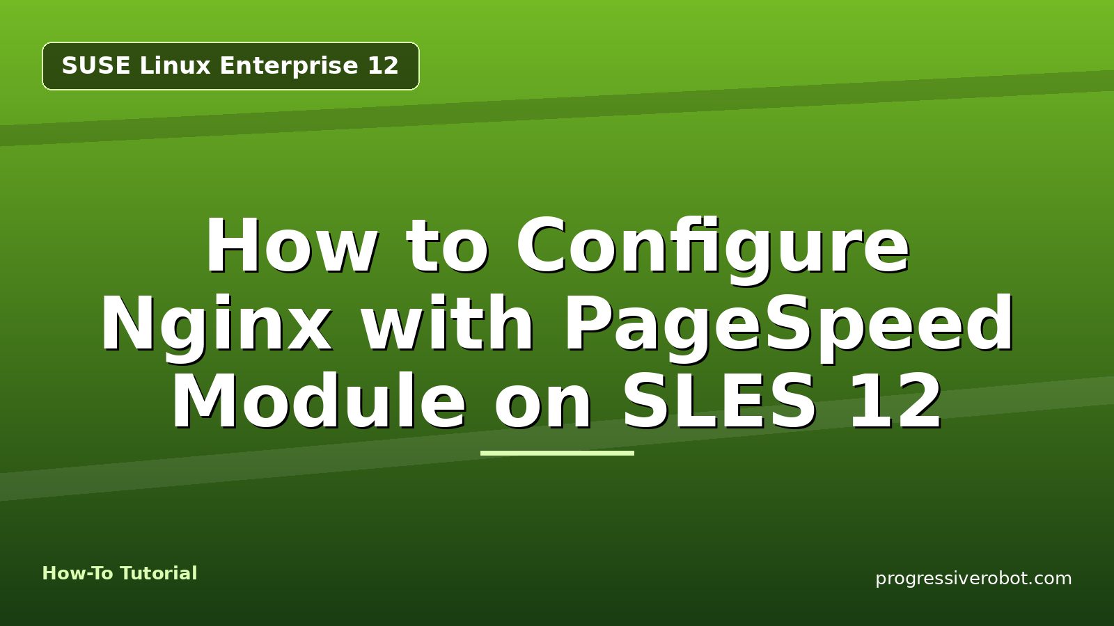 How to Configure Nginx with PageSpeed Module on SLES 12 — step-by-step SUSE Linux Enterprise 12 tutorial on Progressive Robot