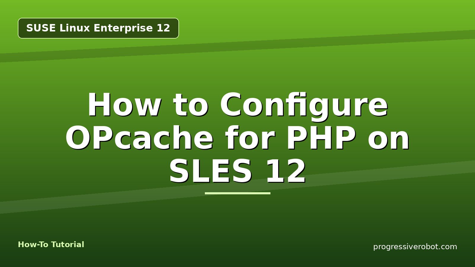 How to Configure OPcache for PHP on SLES 12 — step-by-step SUSE Linux Enterprise 12 tutorial on Progressive Robot