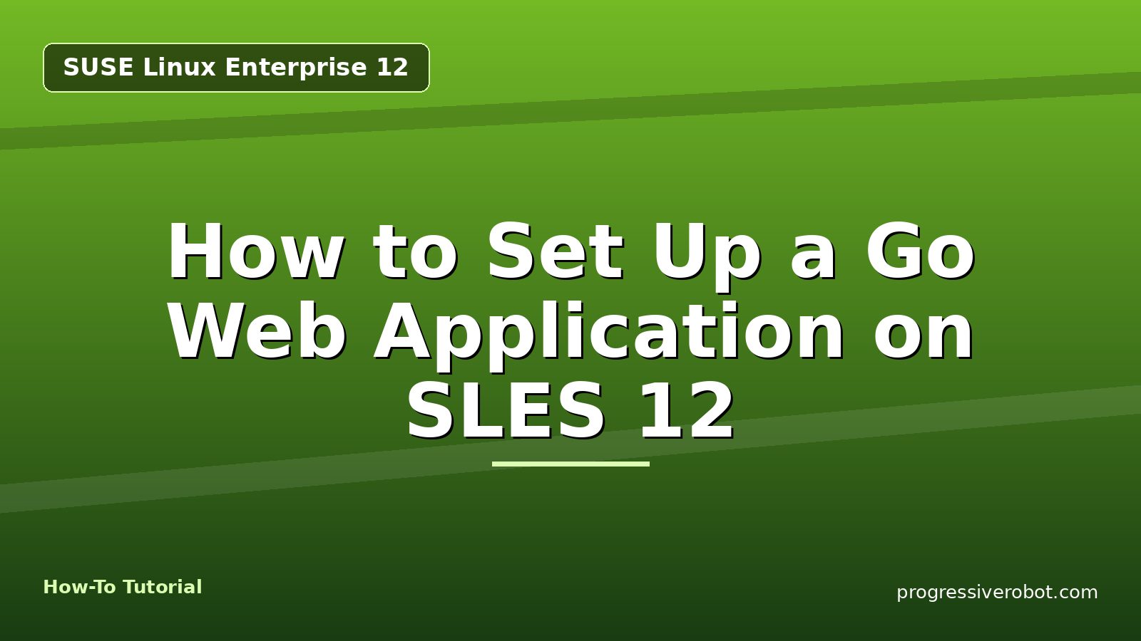 How to Set Up a Go Web Application on SLES 12 — step-by-step SUSE Linux Enterprise 12 tutorial on Progressive Robot