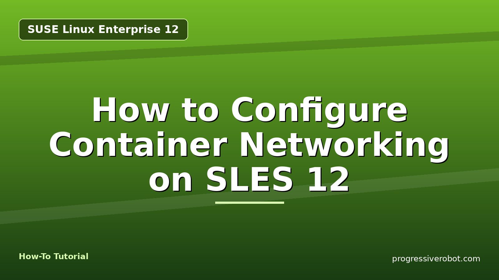How to Configure Container Networking on SLES 12 — step-by-step SUSE Linux Enterprise 12 tutorial on Progressive Robot