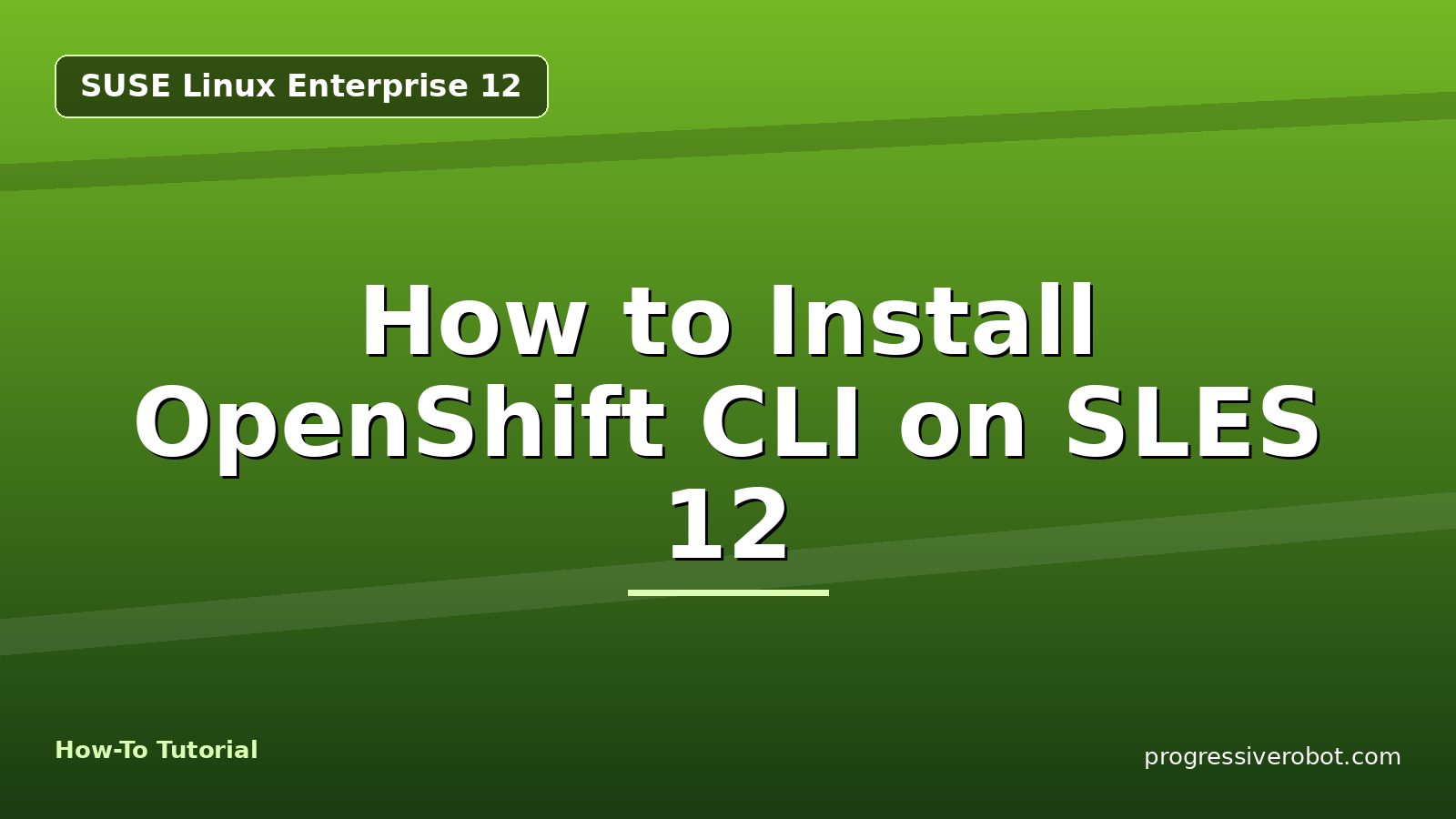 How to Install OpenShift CLI on SLES 12 — step-by-step SUSE Linux Enterprise 12 tutorial on Progressive Robot