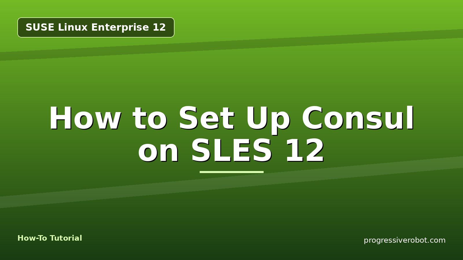 How to Set Up Consul on SLES 12 — step-by-step SUSE Linux Enterprise 12 tutorial on Progressive Robot