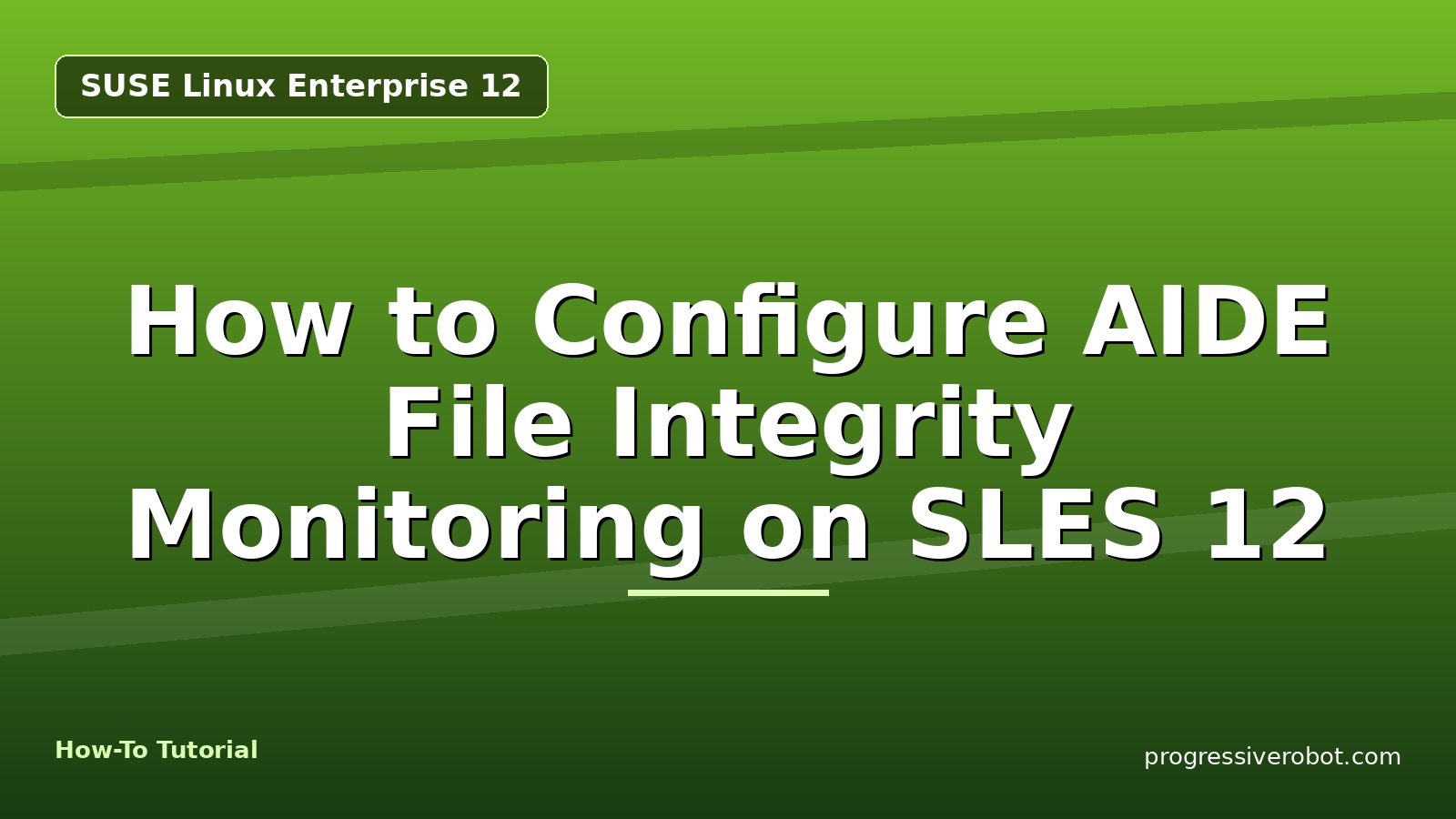 How to Configure AIDE File Integrity Monitoring on SLES 12 — step-by-step SUSE Linux Enterprise 12 tutorial on Progressive Robot